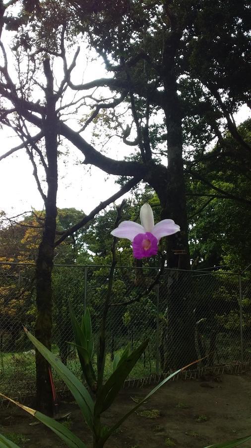 Nature House Monteverde Exterior foto
